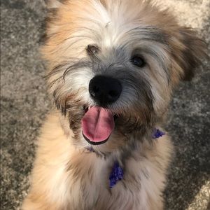 Meet your Posher, Tania